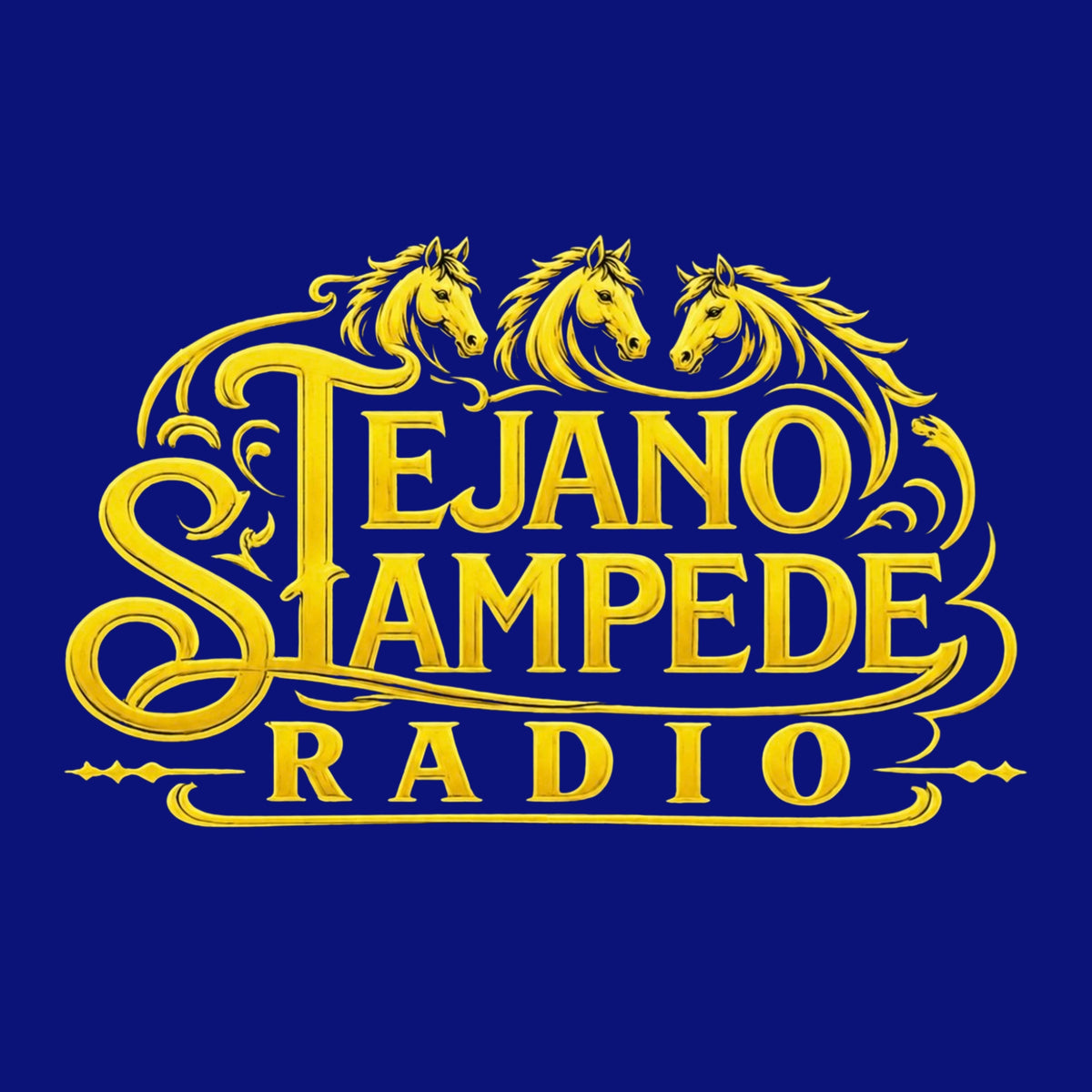 Tejano Stampede Radio Collection